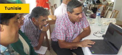 Assessment of the Water Needs of Plants to Support Farmers and Irrigation Managers in the Governorate of Manouba, Tunisia
